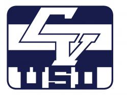 CV USD Logo